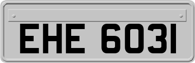 EHE6031