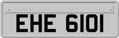 EHE6101
