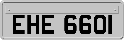 EHE6601