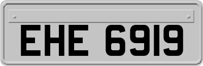 EHE6919