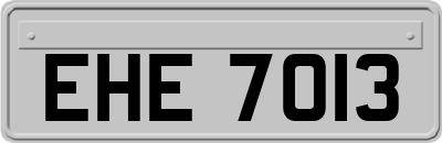 EHE7013