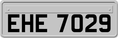 EHE7029
