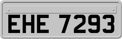 EHE7293