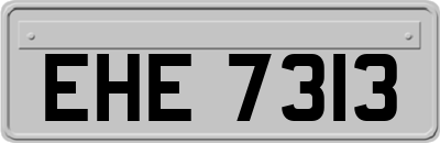 EHE7313
