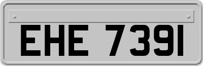 EHE7391
