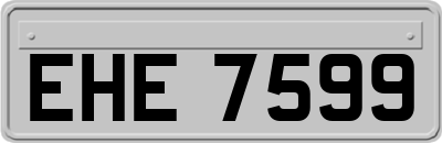 EHE7599