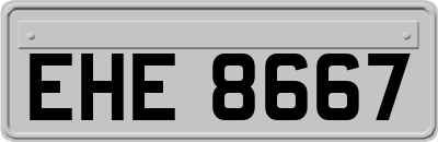 EHE8667