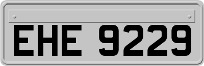 EHE9229