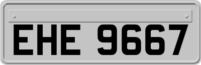 EHE9667