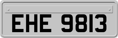 EHE9813