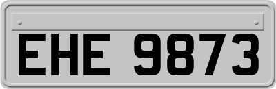 EHE9873