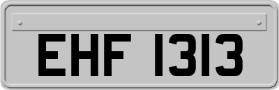 EHF1313