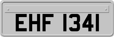 EHF1341