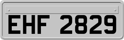 EHF2829