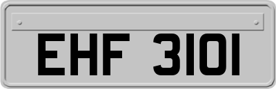 EHF3101