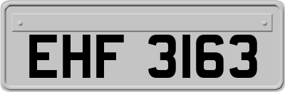 EHF3163