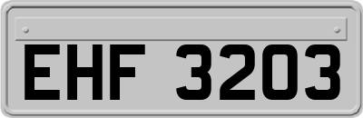 EHF3203