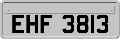 EHF3813
