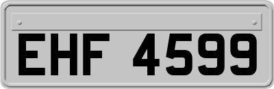 EHF4599