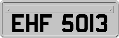 EHF5013