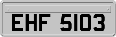 EHF5103