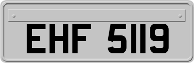 EHF5119