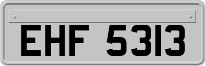 EHF5313
