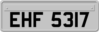 EHF5317