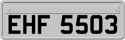 EHF5503
