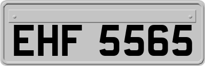 EHF5565
