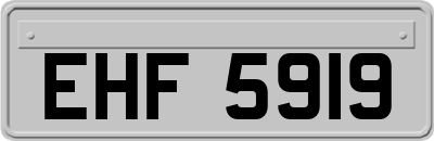 EHF5919