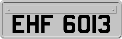 EHF6013