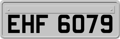 EHF6079