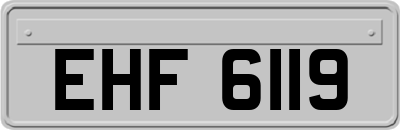 EHF6119