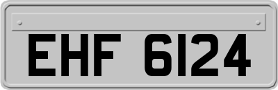 EHF6124