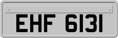 EHF6131