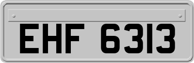 EHF6313