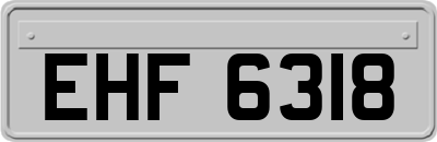 EHF6318