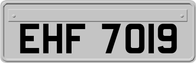 EHF7019