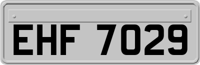 EHF7029