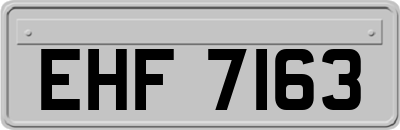 EHF7163