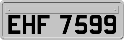 EHF7599