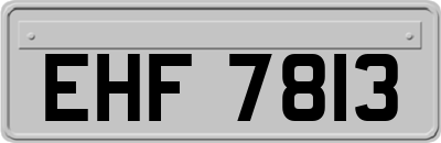 EHF7813