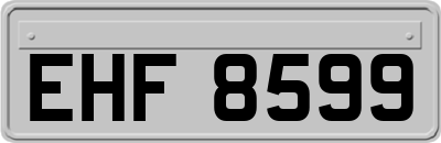 EHF8599