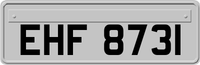 EHF8731