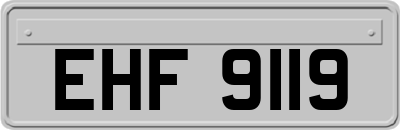 EHF9119