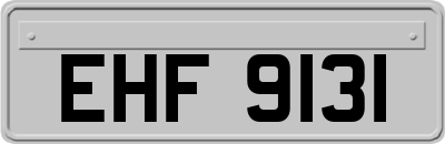EHF9131