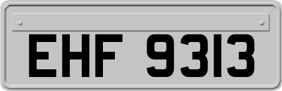 EHF9313