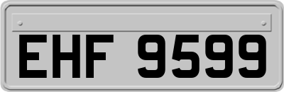 EHF9599