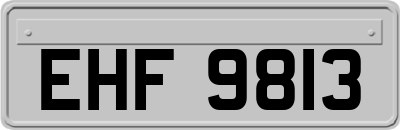 EHF9813